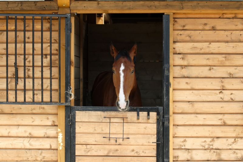 Horse Shelter Construction in Kansas City, KS
