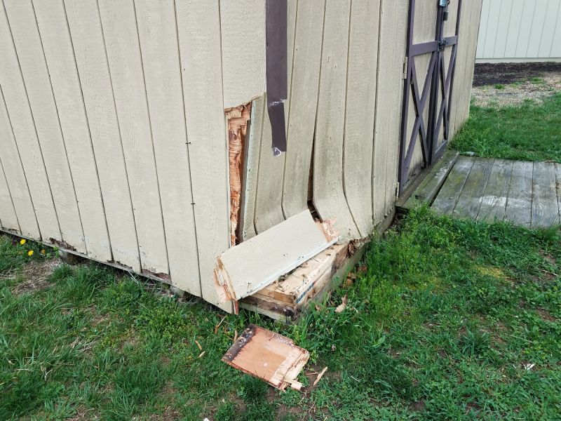 Shed Damage Repair in Wilmington, NC