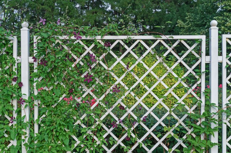 Wood Trellis Installation in Kansas City, KS
